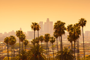 Meet Sibers represantative in person in Los Angeles, CA, USA Meet Sibers represantative in person in Los Angeles, CA, USA